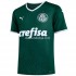 Camisola Palmeiras Equipamento Primeiro 2022-2023 Manga Corta